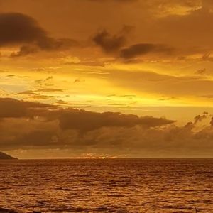 Meet your Posher, Yolanda